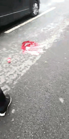 微信图片_20181026092717.gif